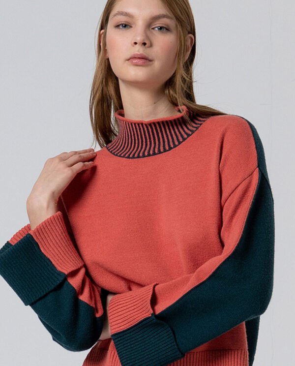 Jersey cuello alto con contrastes de color. - Imagen 2